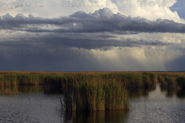 Lake Neusiedl National Park, rain front