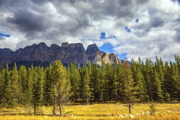 Canada, the Rocky Mountains. Yellow and orange herbs and evergreen fir-trees. Fine Indian summer in Banff National Park, North America