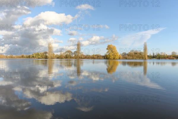 Flooded meadow after heavy rains. Autumn landscape. Bas-Rhin, Collectivite europeenne d'Alsace, Grand Est, France, Europe