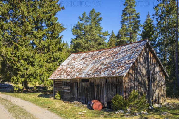 Old weathered barn by a forest road