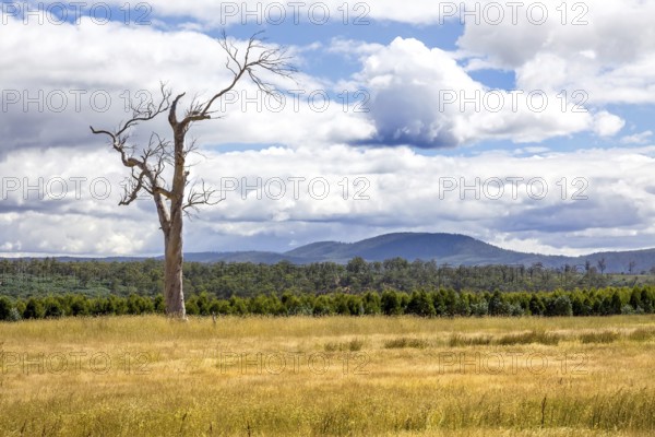 An image of a beautiful Tasmania landscape