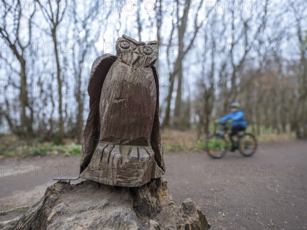 Wooden owl on a path in the haunted forest on the cliffs leading to the Baltic Sea, Nienhagen, Mecklenburg-Vorpommern, Germany, Europe