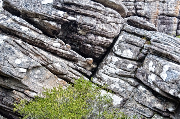 Cracks in the ancient rocks of the Grampians Ranges in Victoria, Australia, Oceania