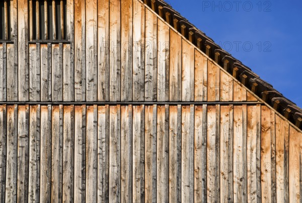 Symbolic photo, building is clad in larch wood, Hesse, Germany, Europe