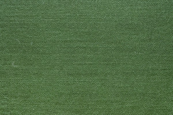 Green abstract texture for background. Close-up detail macro photography view of texture decoration material, pattern background design for brochure, poster, cover book and catalog