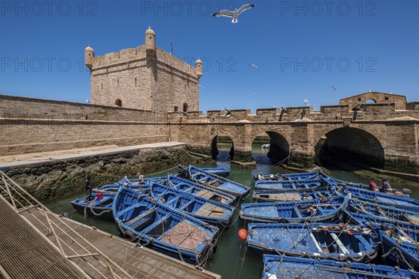 Castelo Real at fishing port, old portuguese fortress, Essaouira, morocco