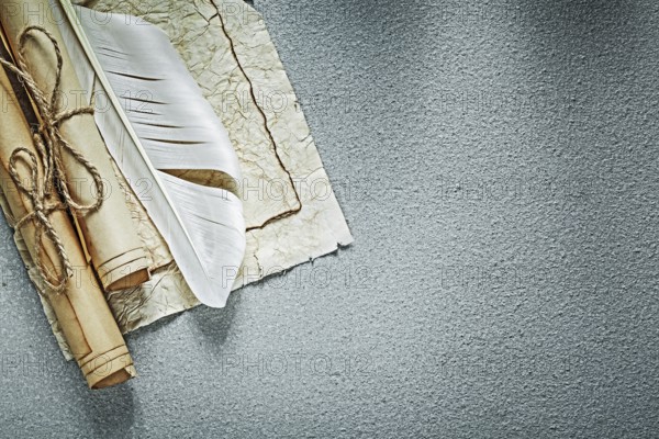 Vintage paper scrolls plume on grey background top view