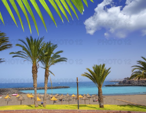 Adeje coast Las americas Beach in south Tenerife at Canary Islands