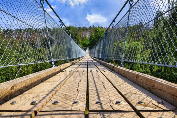 A view of the Hohen Schrecke suspension bridge on a summer's day