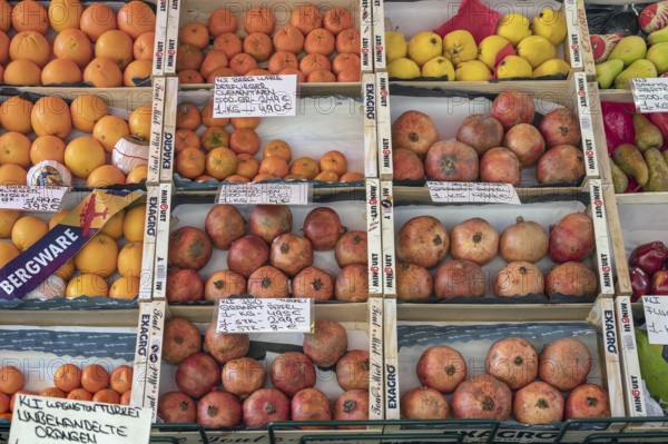 Fruit stand with various fruits, Kempten, Allgäu, Swabia, Bavaria, Germany, Europe