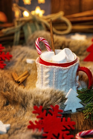 Hot chocolate with marshmallow