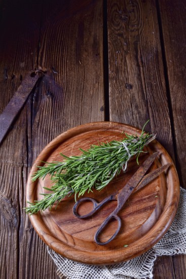 Rosmarin (Rosmarinus officinalis)