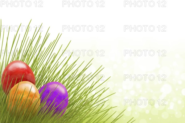 Easter 5