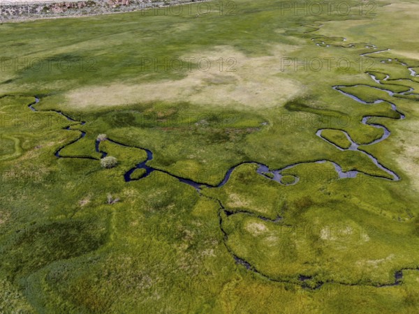 Aerial view of green land and small curve river in Aspen Springs, Mono County California, USA, North America