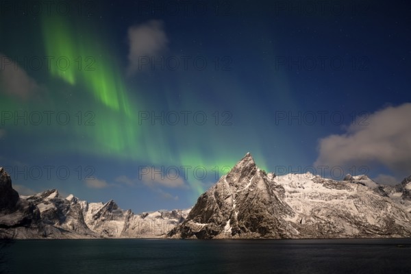 Northern Lights (Aurora borealis), Aurora Borealis, Lofoten, Norway, Europe