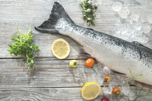 Raw salmon fish in ice and vegetables on white table. Baking paper