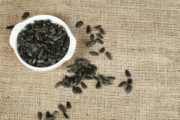 Sunflower seed on burlap brown background