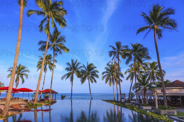 Pool surrounded by palm trees on the sea beach. On the edge of the pool red sun canopy. Rest of the Andaman Sea. Popular resort on the island of Koh Samui