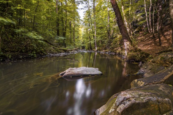 Autumn magic in the Georgewitzer Skala/ Löbauer Wasser 3
