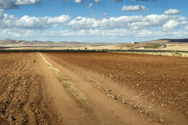 Rural road and blue cloudy sky