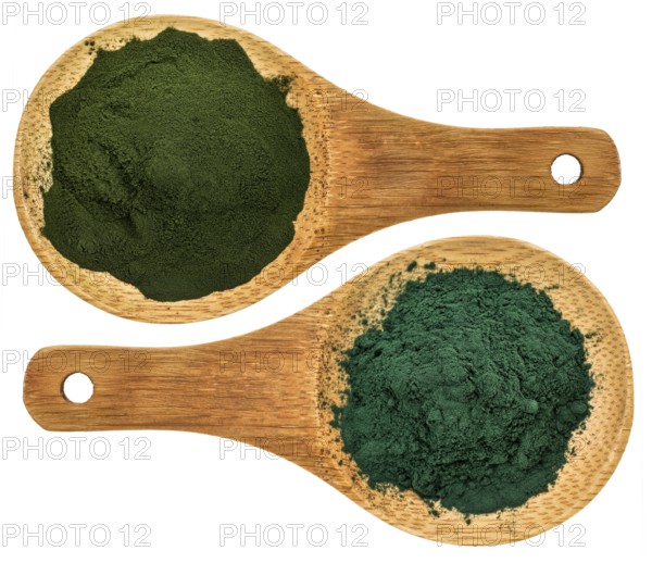 Chlorella ans spirulina supplemt powder - top view of isolated wooden spoons