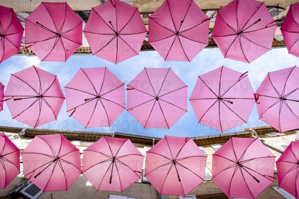 Colorful umbrellas canopy adorning a cozy european alleyway under bright daylight. Grasse, Provence. France