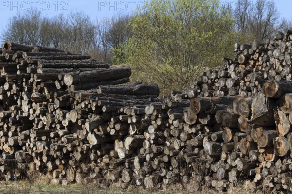 Log pile, log pile
