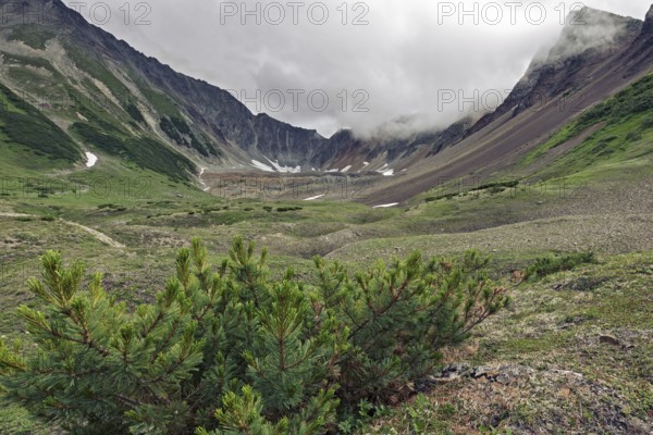 Summer mountain landscape of Kamchatka Peninsula: beautiful view of Mountain Range Vachkazhets, mountain circus with rocky slopes in overcast weather. Eurasia, Russian Far East, Kamchatka Region