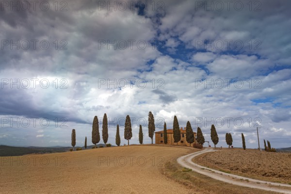 Dreamy landscape in Tuscany with cypresses and a lonely house in sunny weather, Pienza, Val d'Orcia, Tuscany, Italy, Europe