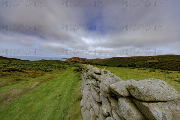 Hilly landscape with green meadows and stone wall, dry stone wall on the edge of Snowdonia National Park, Penmaenmawr, Dwygyfylchi, Caernarfonshire, Conwy County Borough, Wales, United Kingdom, Europe