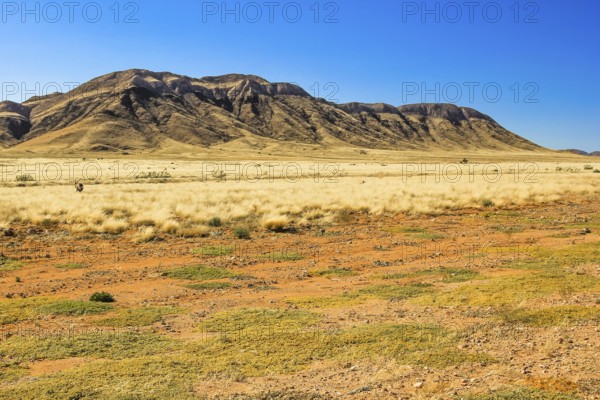 Landscape of the Namib desert during the dry season, Namib Naukluft Park, Namibia, Africa