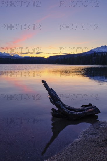 Beautiful autumn landscape scene in mountain in background in Jasper National Park west Canada