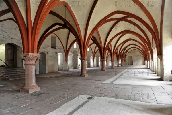 Eberbach Monastery, founded in 1136, Eltville am Rhein, Rheingau, Hesse, Germany, Large Gothic room with striking red arches and stone columns, appears majestic and empty, Eltville am Rhein, Rheingau, Hesse, Germany, Europe
