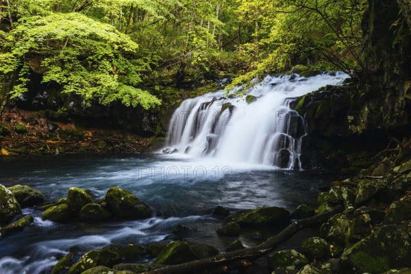The magnificent Tateshina Otaki Falls on the famous Venus Line road, famous as a scenic driving route in Japan