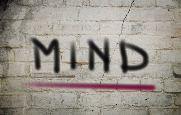 Mind Concept