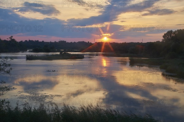 Garstadt bird sanctuary, district of Schweinfurt, Lower Franconia
