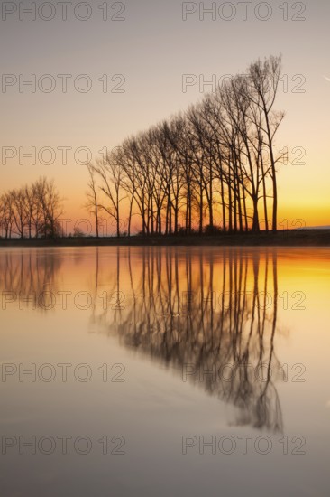 Symmetry - Reflection on the morning river