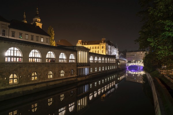 Iconic building of the central market in Ljubljana illuminated at night, the bridge of Preseren sqare in the background, Slovenia, Europe