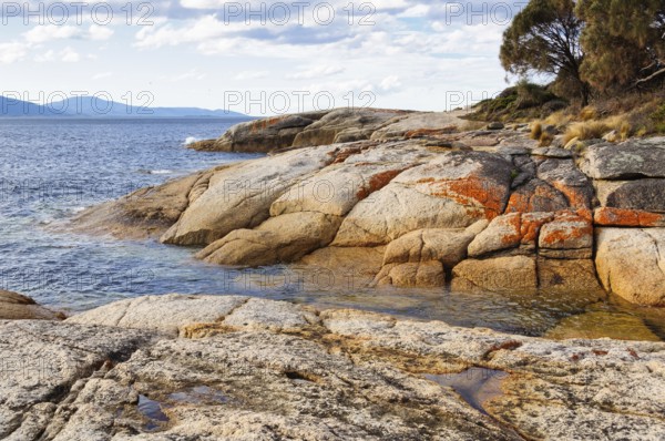 Granite boulders reddened by lichens are polished smooth by waves, Swansea, Tasmania, Australia, Oceania