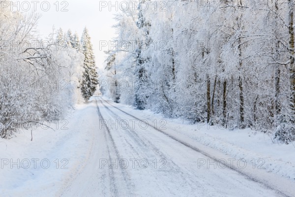 Winter road in a woodland with snow and frost