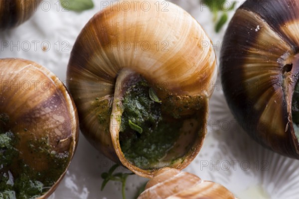 Escargot platter, delicious french delicatessen