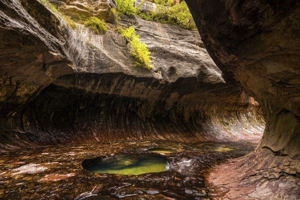Magnificent Subway gorge landmark in the Zion National Park in Utah, USA, North America