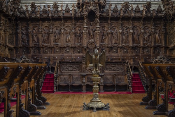 Coro, Catedral de la Asunción de la Virgen, Salamanca, comunidad autónoma de Castilla y León, Spain, Europe