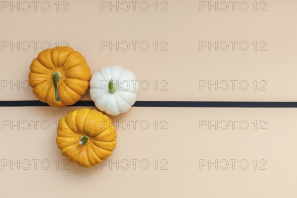 Creative Top view flat lay autumn composition. Frame concept pumpkins color paper background copy space. Template fall harvest thanksgiving halloween anniversary invitation cards