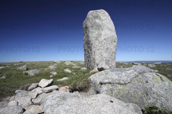 Menhir, at Mont Lozere, Cévennes National Park, France, Europe