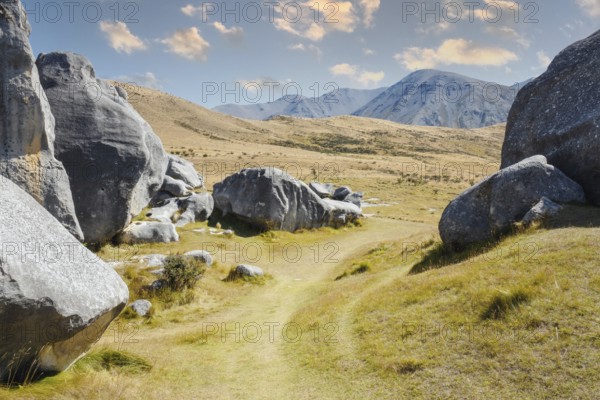 An image of a landscape scenery at Castle Hill New Zealand