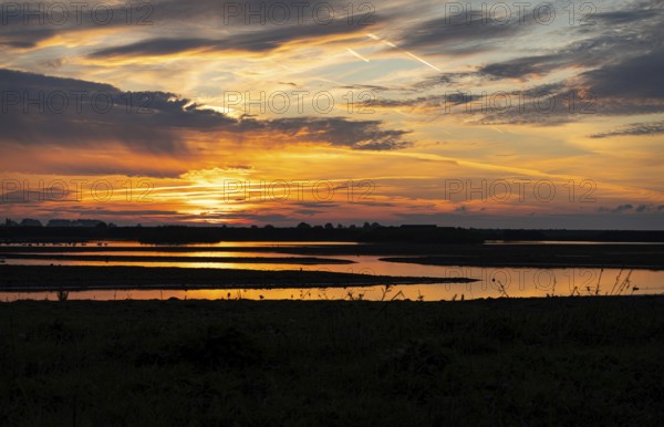 Morning sunlight reflecting off Water in Frampton Marsh, Lincolnshire, England, United Kingdom, Europe