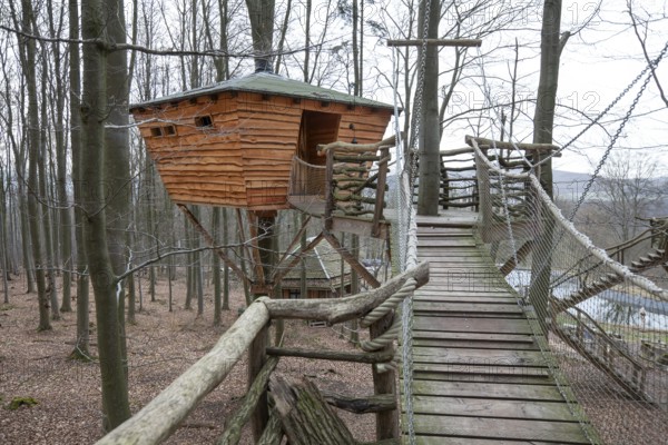 Treehouse hotel, Berlepsch, Witzenhausen, Hesse, Germany, Europe