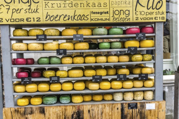 Shop for cheese in the Netherlands with a lot of different round cheeses in different sizes and colours. Shop for cheese in the Netherlands with a lot of different round cheese