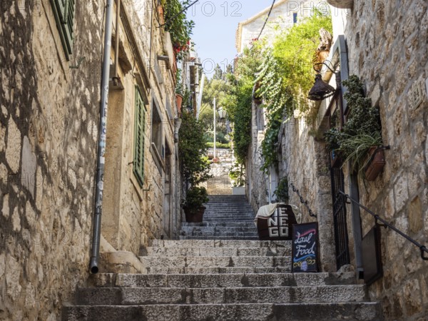 Stone steps, narrow alley in the old town centre, town of Hvar, island of Hvar, Dalmatia, Croatia, Europe